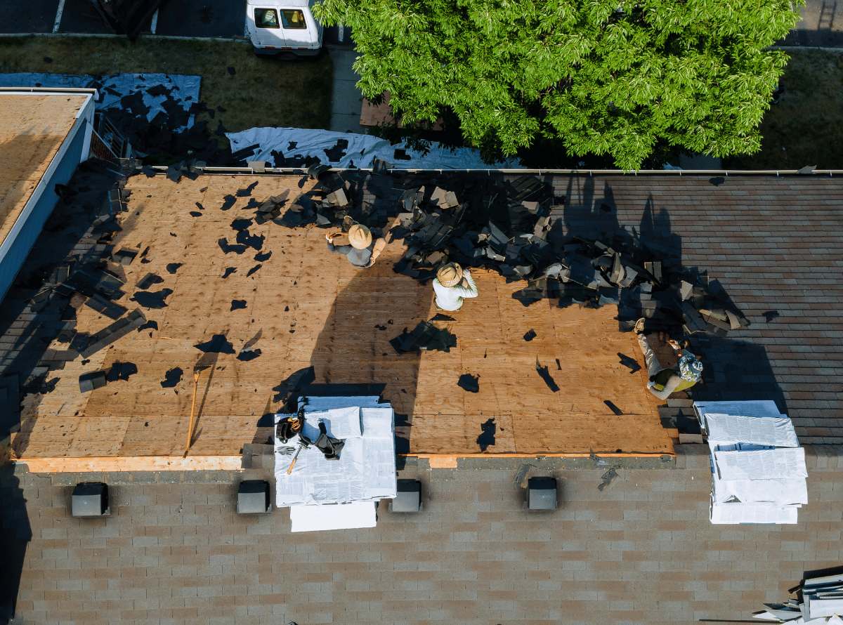 Roof Replacement